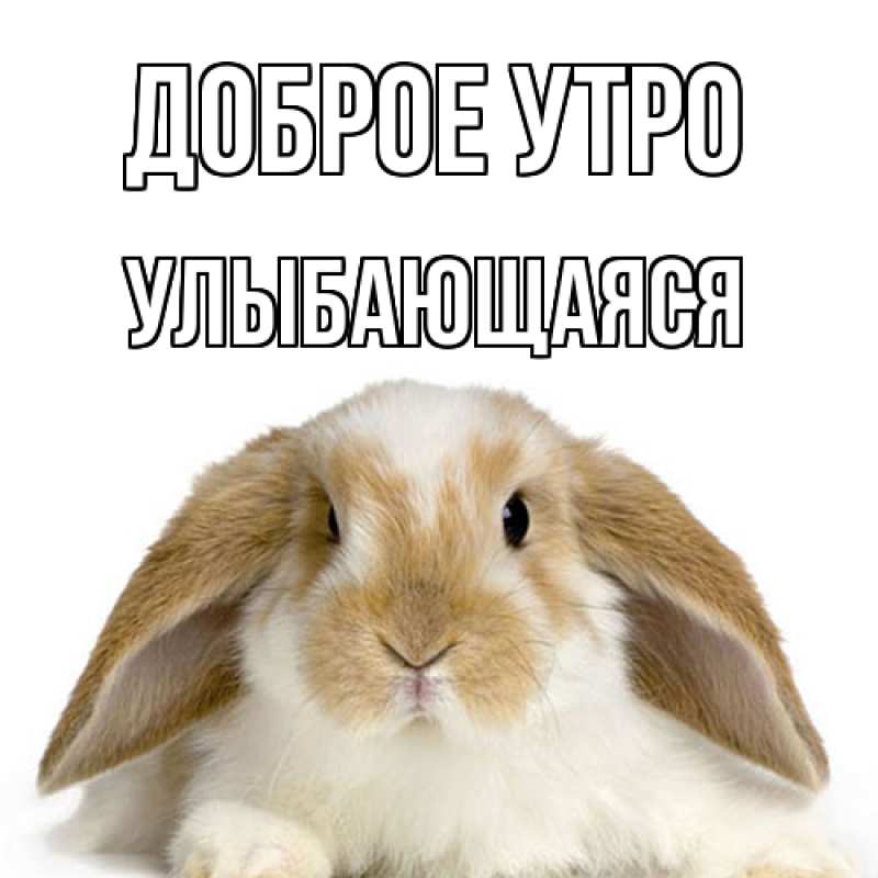 Картинка Доброе утро, Улыбающаяся