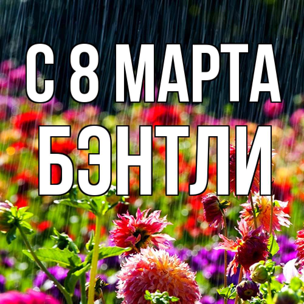 Открытка на каждый день с именем, Бэнтли C 8 МАРТА цветы под дождиком к международному женскому дню Прикольная открытка с пожеланием онлайн скачать бесплатно 