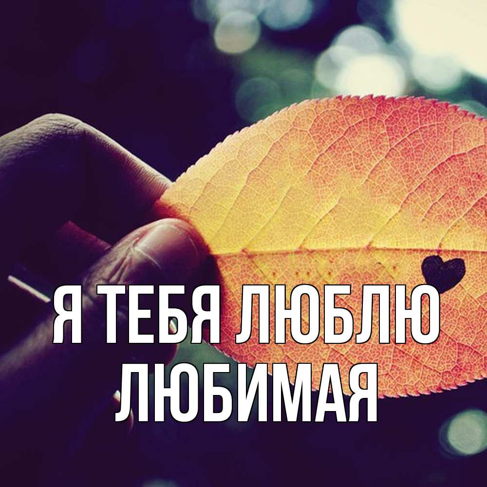Открытка на каждый день с именем, Любимая Я тебя люблю держу лист Прикольная открытка с пожеланием онлайн скачать бесплатно 
