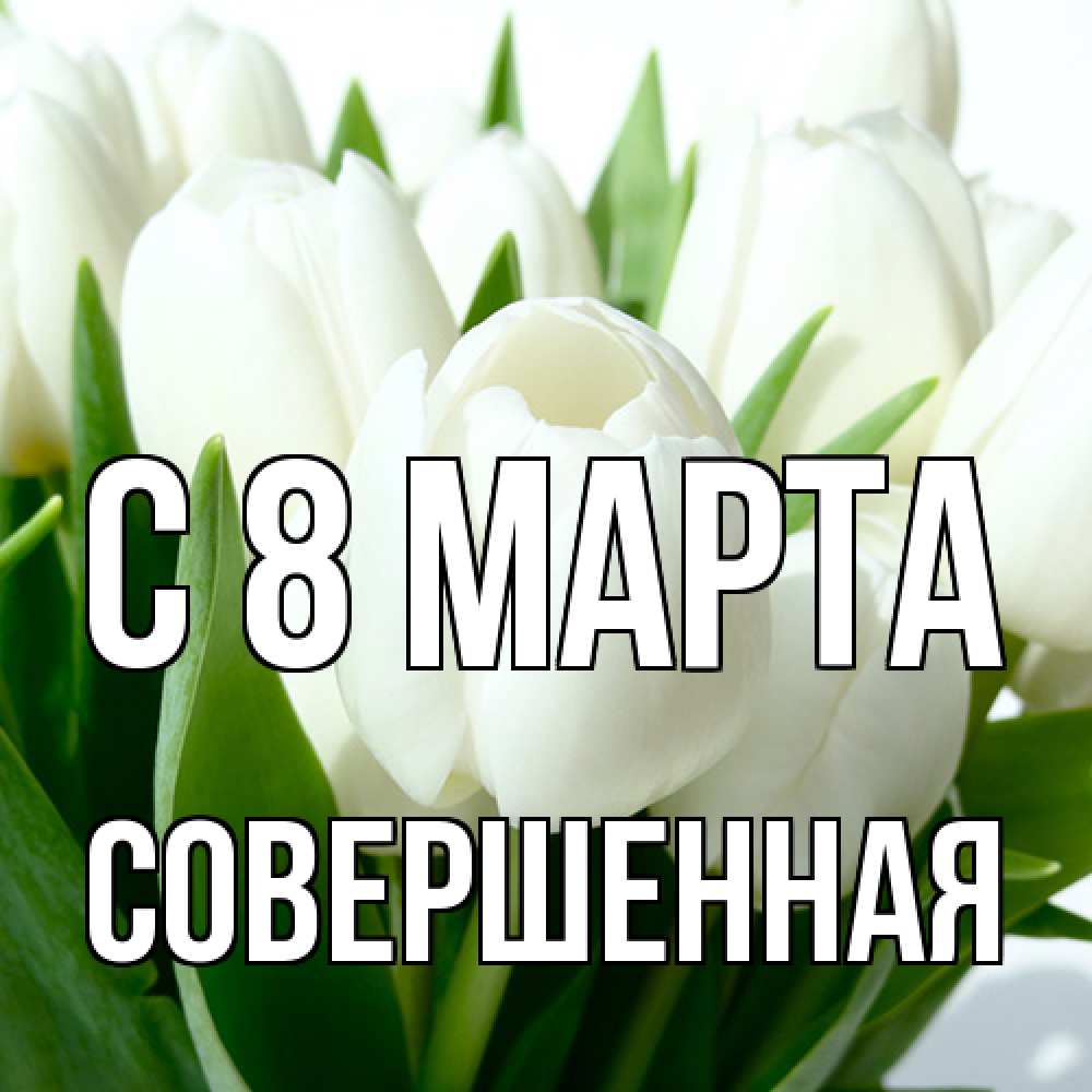 Открытка на каждый день с именем, Совершенная C 8 МАРТА цветы Прикольная открытка с пожеланием онлайн скачать бесплатно 