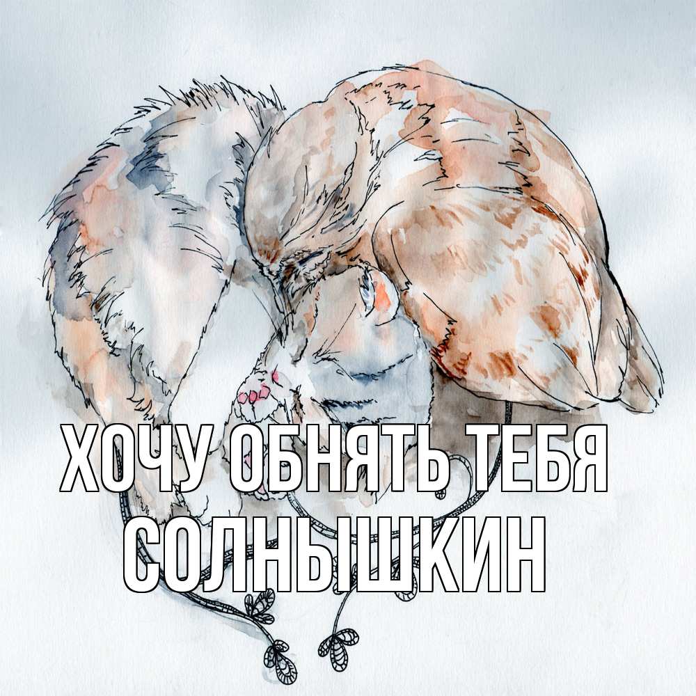 Открытка на каждый день с именем, Солнышкин Хочу обнять тебя можно быть вместе даже когда очень разные Прикольная открытка с пожеланием онлайн скачать бесплатно 