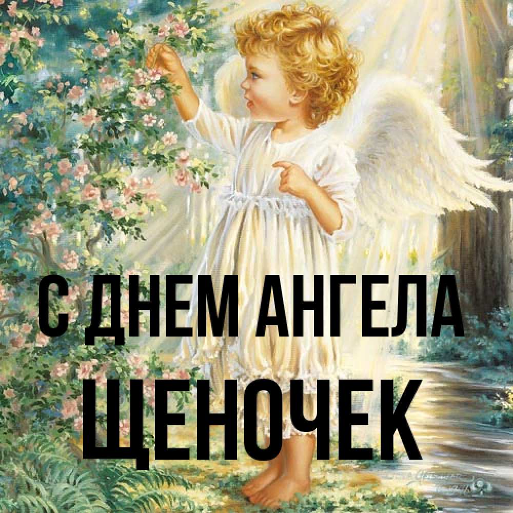Открытка на каждый день с именем, Щеночек С днем ангела собирает цветы Прикольная открытка с пожеланием онлайн скачать бесплатно 