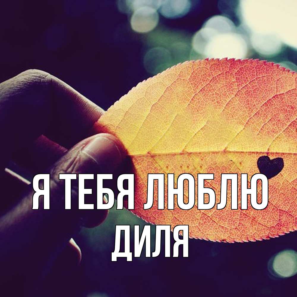 Открытка на каждый день с именем, Диля Я тебя люблю держу лист Прикольная открытка с пожеланием онлайн скачать бесплатно 