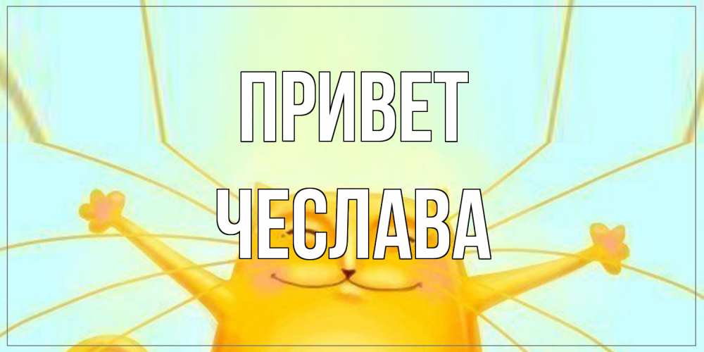 Открытка на каждый день с именем, Чеслава Привет кот Прикольная открытка с пожеланием онлайн скачать бесплатно 