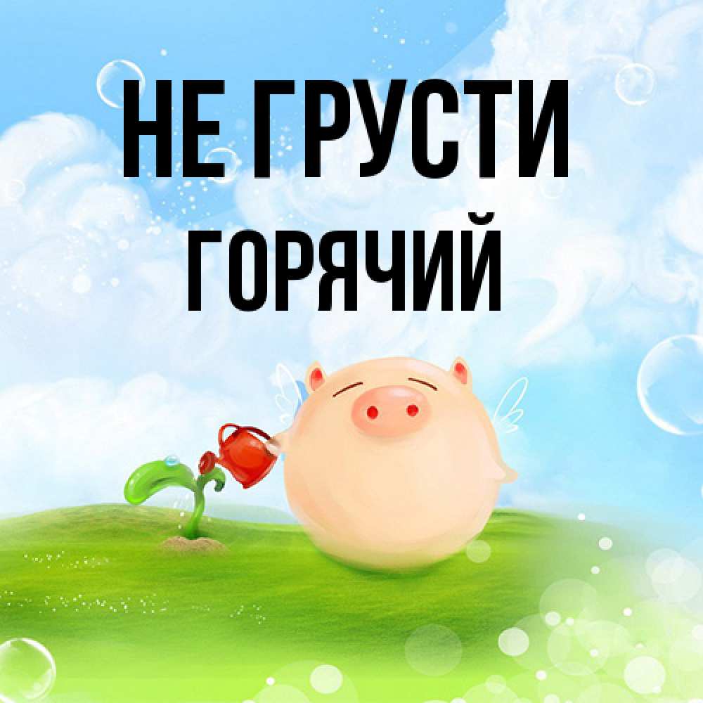 Открытка на каждый день с именем, Горячий Не грусти поливает цветок порося Прикольная открытка с пожеланием онлайн скачать бесплатно 