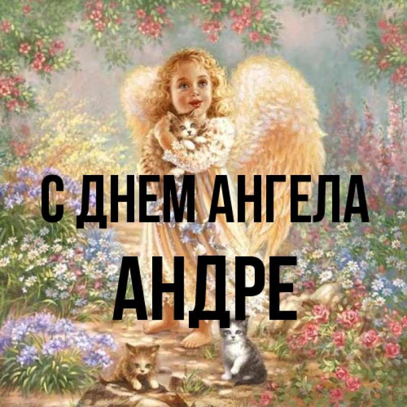 Картинка С днем ангела, Андре