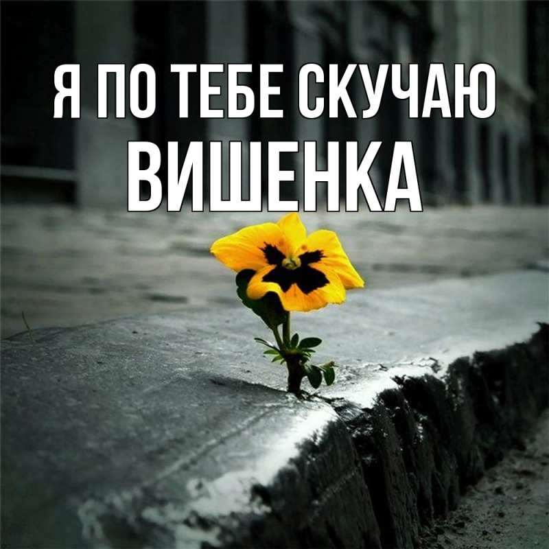 Картинка Я по тебе скучаю, Вишенка