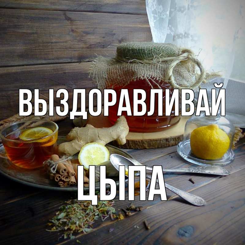 Картинка Выздоравливай, Цыпа