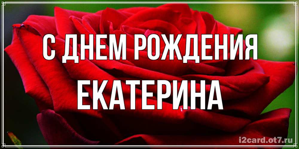 Открытка на каждый день с именем, Екатерина С днем рождения розочка очень красивая Прикольная открытка с пожеланием онлайн скачать бесплатно 