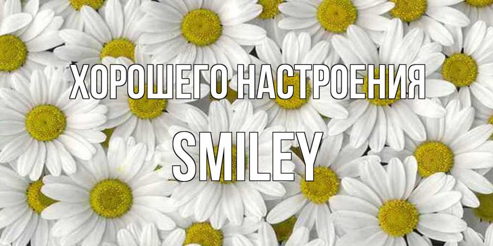 Открытка на каждый день с именем, Smiley Хорошего настроения поляна ромашек Прикольная открытка с пожеланием онлайн скачать бесплатно 