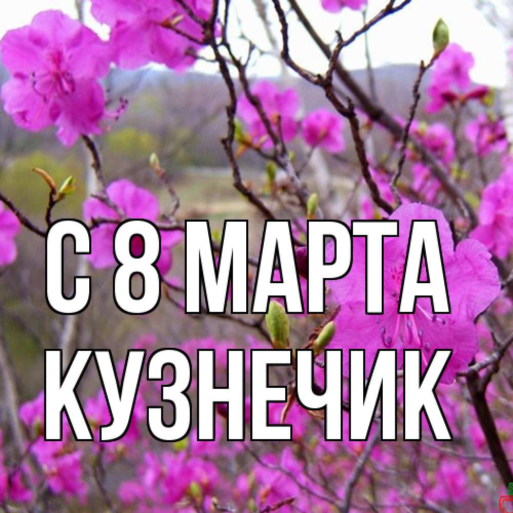 Открытка на каждый день с именем, Кузнечик C 8 МАРТА международный женский день Прикольная открытка с пожеланием онлайн скачать бесплатно 
