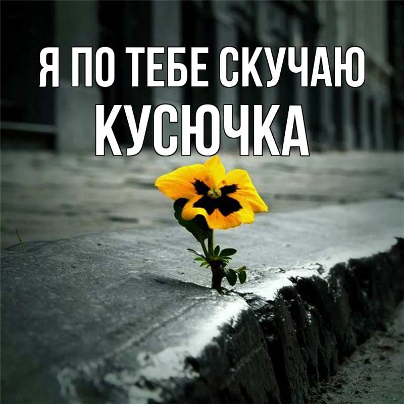 Картинка Я по тебе скучаю, Кусючка