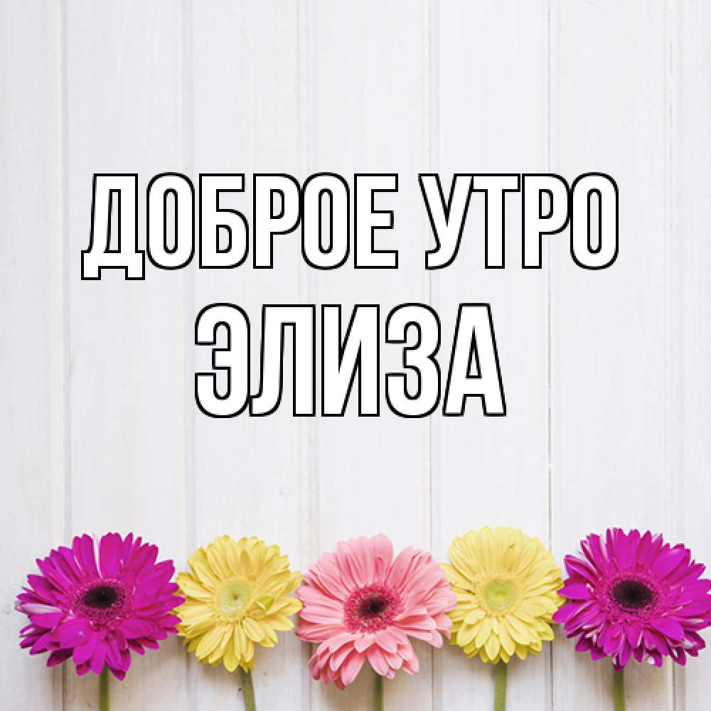 Открытка на каждый день с именем, Элиза Доброе утро красный желтый и розовый цветок Прикольная открытка с пожеланием онлайн скачать бесплатно 
