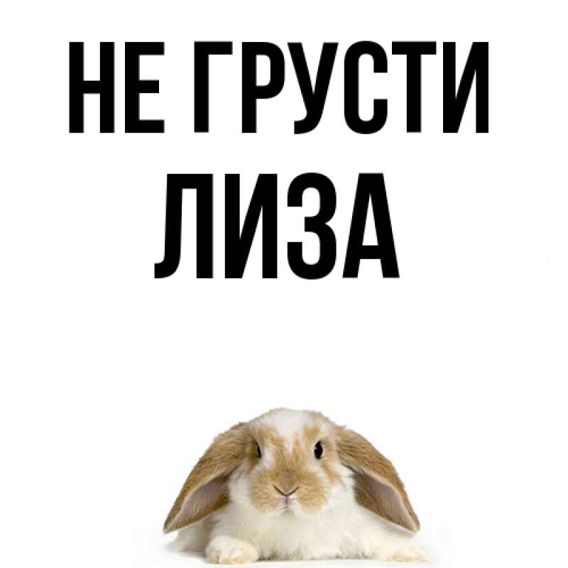 Картинка Не грусти, Лиза