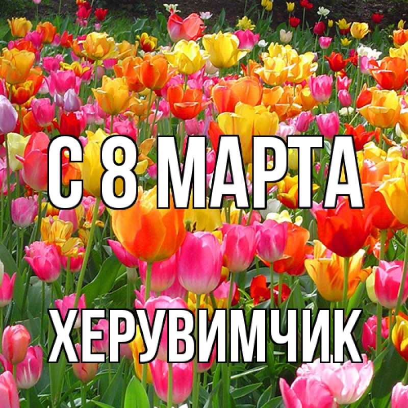 Картинка C 8 МАРТА, херувимчик