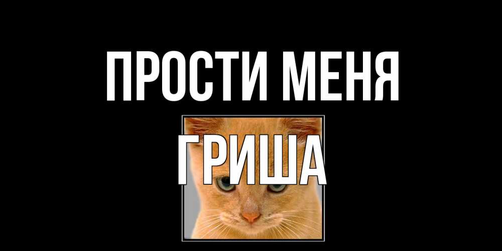 Открытка на каждый день с именем, Гриша Прости меня рыжий грустный кот просит прощения Прикольная открытка с пожеланием онлайн скачать бесплатно 