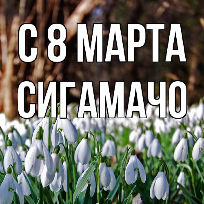 Картинка C 8 МАРТА, Сигамачо