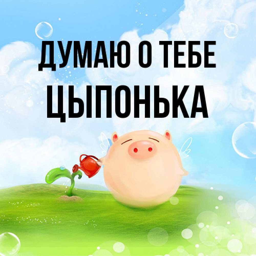 Открытка на каждый день с именем, Цыпонька Думаю о тебе позитивная свинюшка Прикольная открытка с пожеланием онлайн скачать бесплатно 