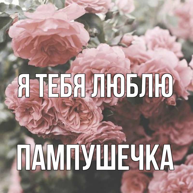 Картинка Я тебя люблю, пампушечка