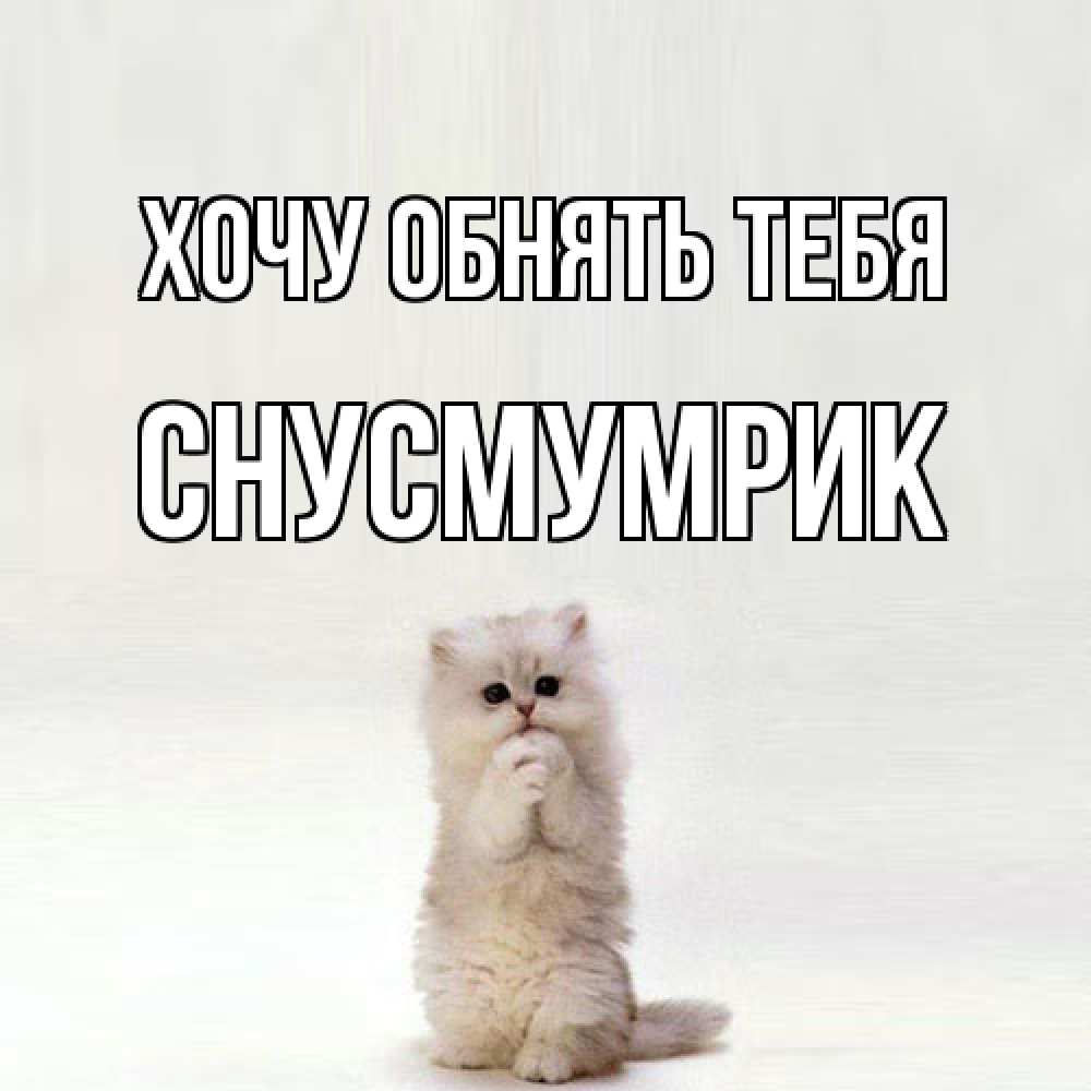 Открытка на каждый день с именем, Снусмумрик Хочу обнять тебя открытки с креативными подписями Прикольная открытка с пожеланием онлайн скачать бесплатно 