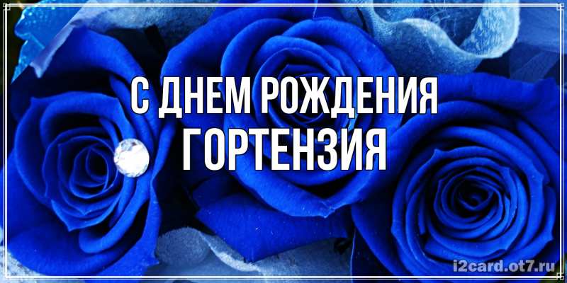 Картинка С днем рождения, Гортензия