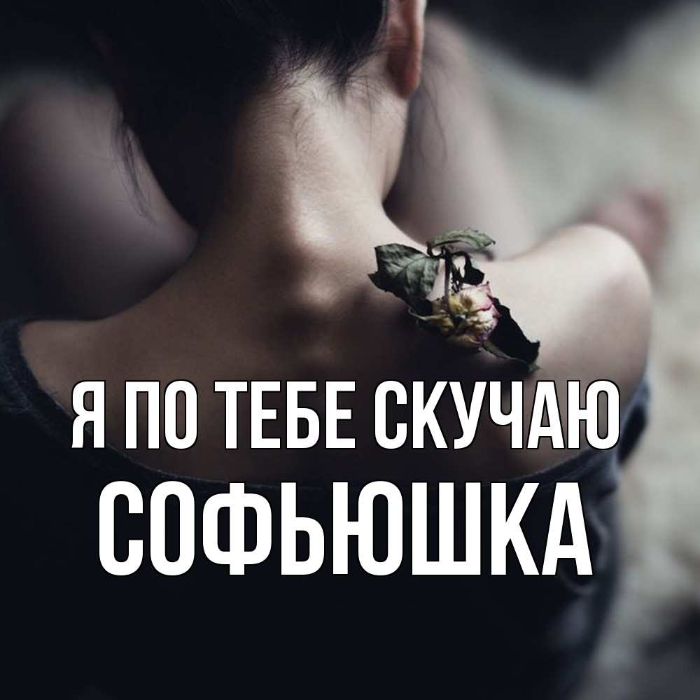 Открытка на каждый день с именем, Софьюшка Я по тебе скучаю засох цветок Прикольная открытка с пожеланием онлайн скачать бесплатно 