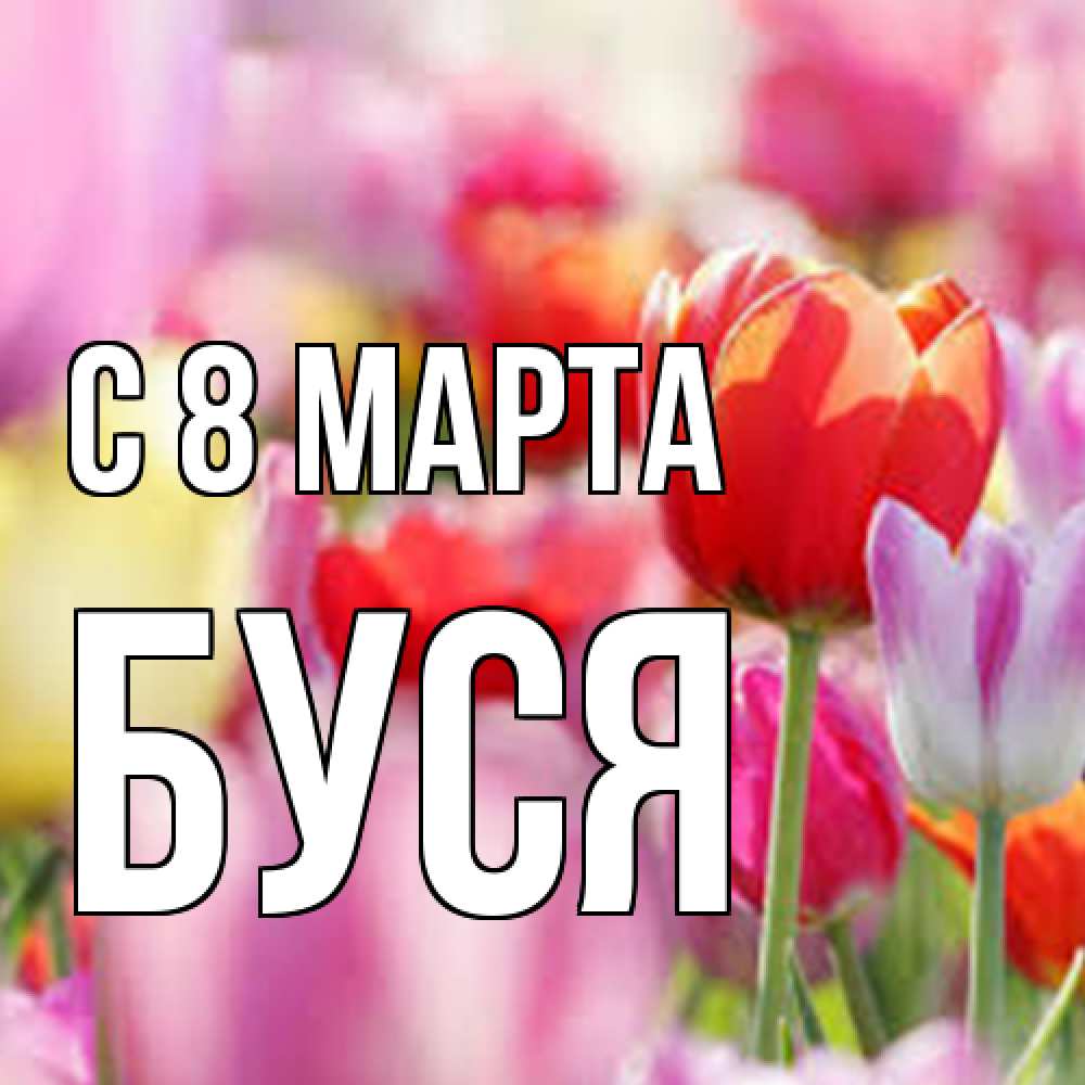Открытка на каждый день с именем, Буся C 8 МАРТА на международный женский день 2 Прикольная открытка с пожеланием онлайн скачать бесплатно 