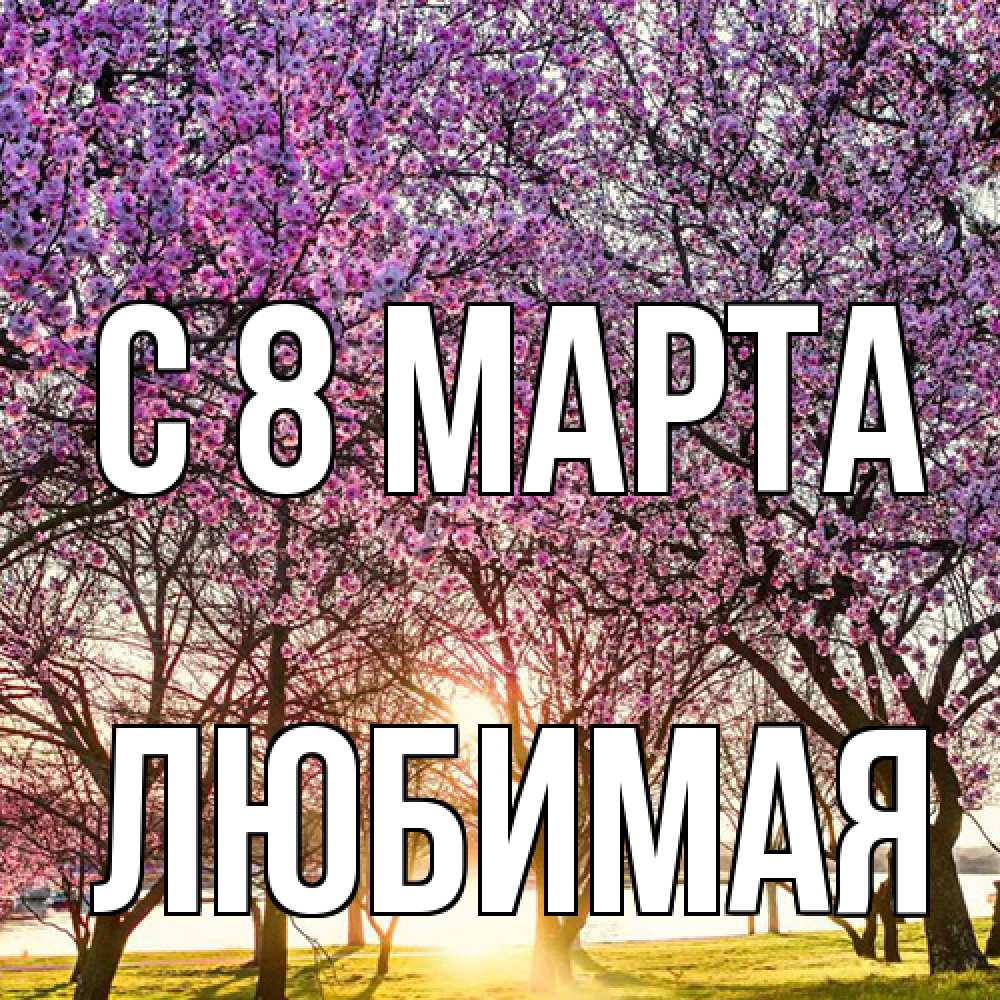 Открытка на каждый день с именем, Любимая C 8 МАРТА международный женский день Прикольная открытка с пожеланием онлайн скачать бесплатно 