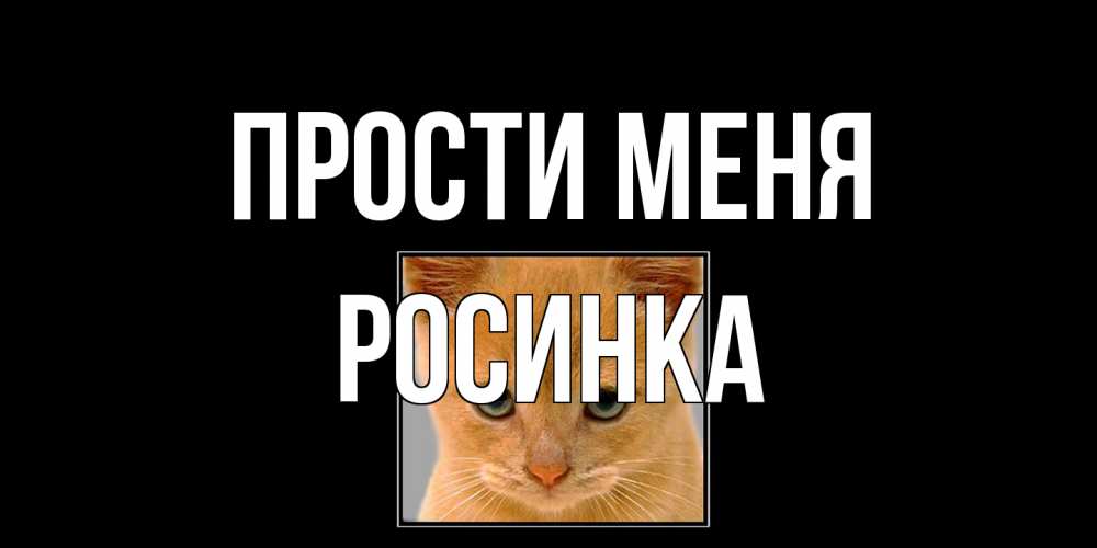 Открытка на каждый день с именем, Росинка Прости меня рыжий грустный кот просит прощения Прикольная открытка с пожеланием онлайн скачать бесплатно 
