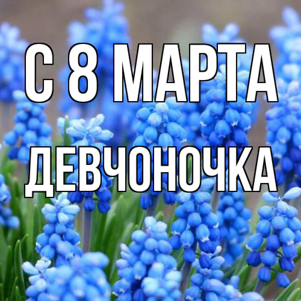 Открытка на каждый день с именем, девчоночка C 8 МАРТА Поздравительная открытка для женщин с цветами на праздничную дату Прикольная открытка с пожеланием онлайн скачать бесплатно 