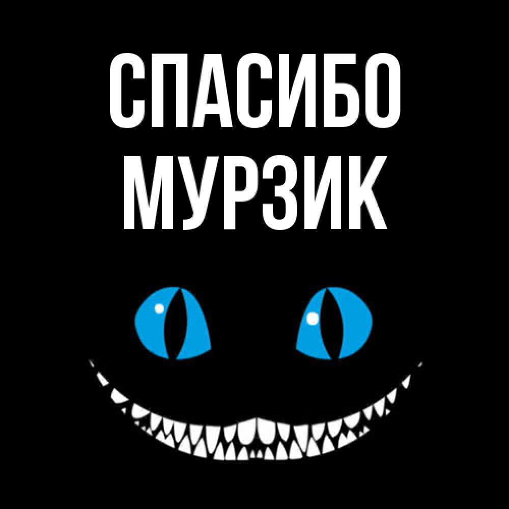 Открытка на каждый день с именем, Муpзик Спасибо благодарю от чеширика Прикольная открытка с пожеланием онлайн скачать бесплатно 