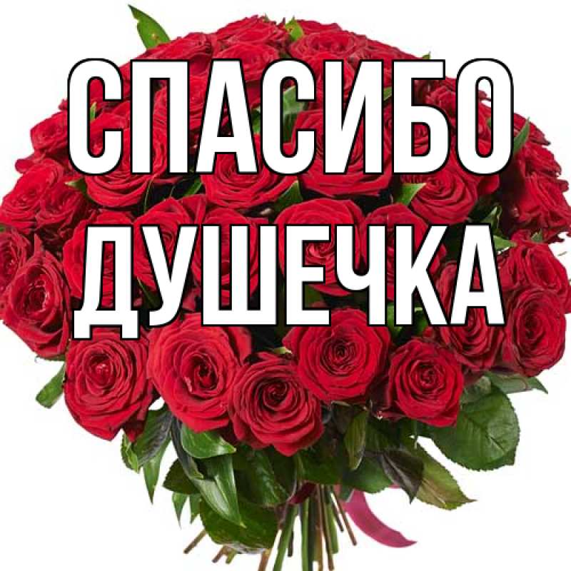 Картинка Спасибо, душечка