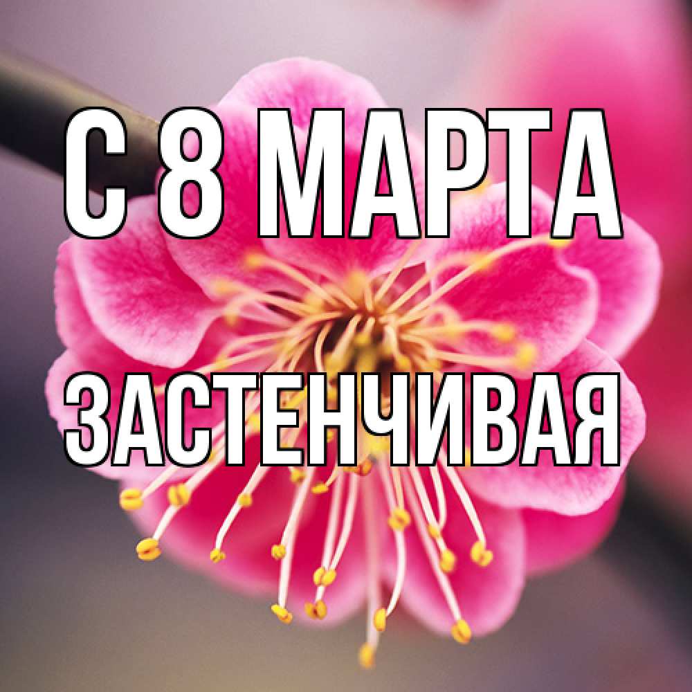 Открытка на каждый день с именем, Застенчивая C 8 МАРТА цветы Прикольная открытка с пожеланием онлайн скачать бесплатно 