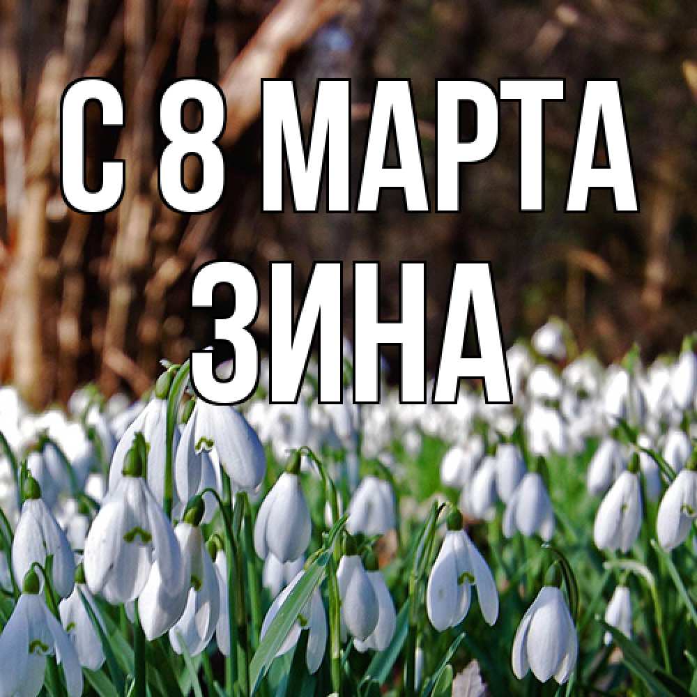 Открытка на каждый день с именем, Зина C 8 МАРТА с подснежниками 1 Прикольная открытка с пожеланием онлайн скачать бесплатно 
