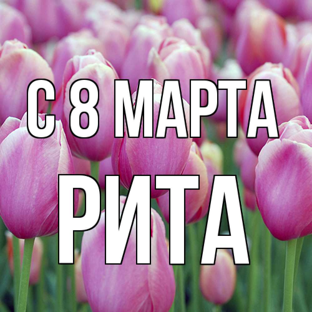 Открытка на каждый день с именем, Рита C 8 МАРТА на международный женский день 3 Прикольная открытка с пожеланием онлайн скачать бесплатно 