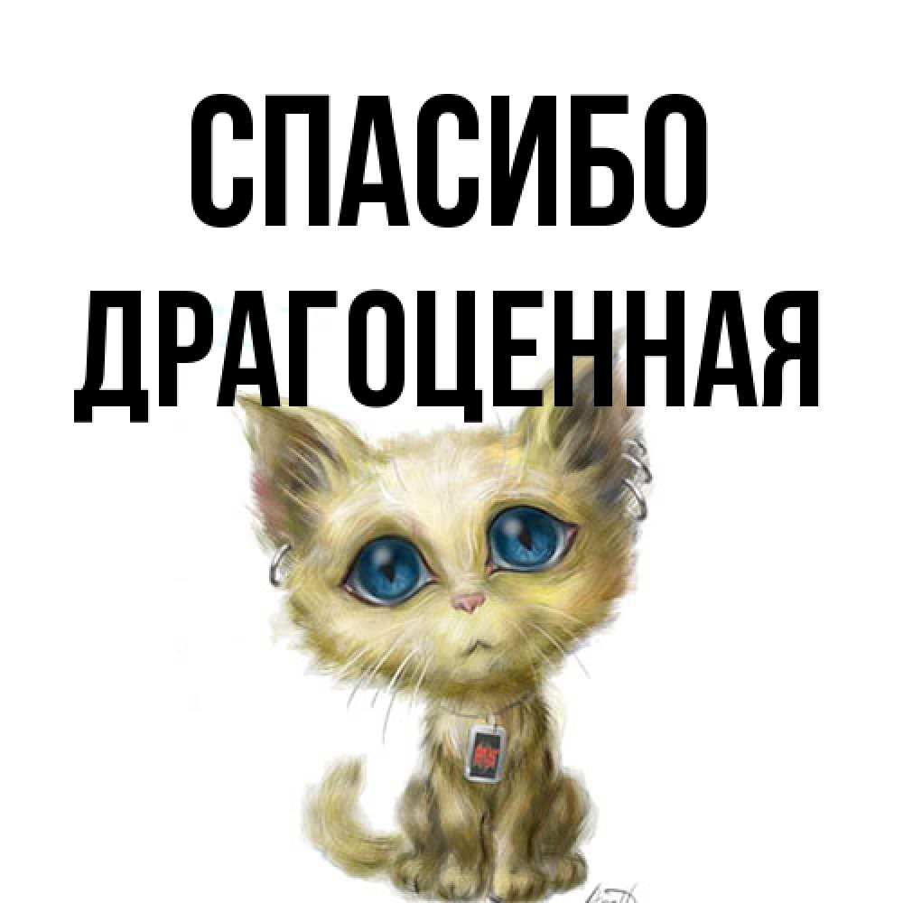 Открытка на каждый день с именем, Драгоценная Спасибо рисованный кот благодарит вас Прикольная открытка с пожеланием онлайн скачать бесплатно 