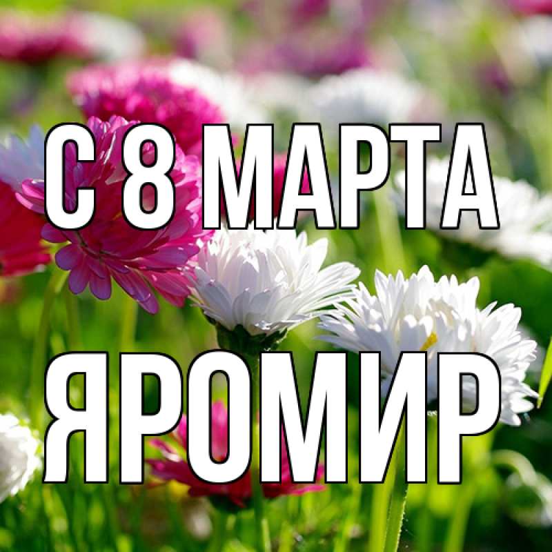 Картинка C 8 МАРТА, Яромир