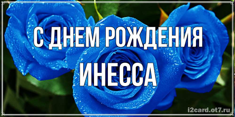 Открытка на каждый день с именем, Инесса С днем рождения розы с синим цветом Прикольная открытка с пожеланием онлайн скачать бесплатно 