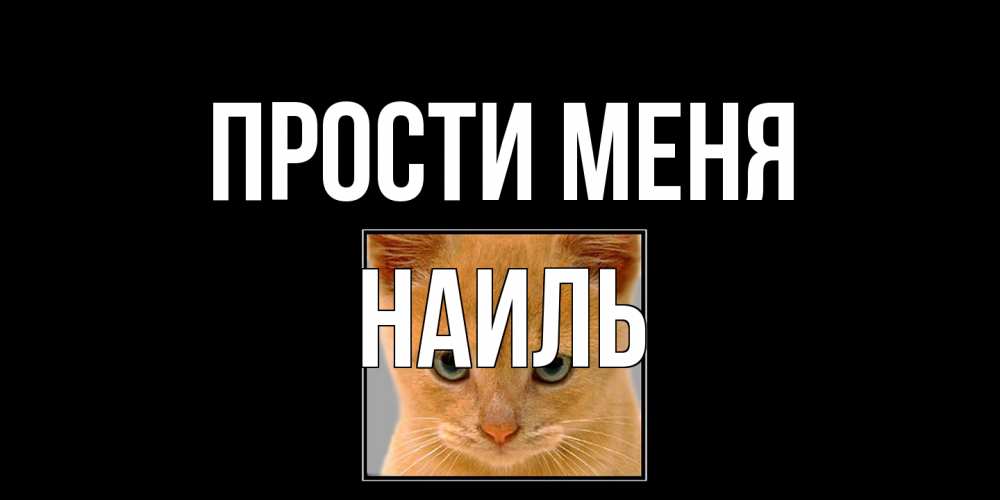 Открытка на каждый день с именем, Наиль Прости меня рыжий грустный кот просит прощения Прикольная открытка с пожеланием онлайн скачать бесплатно 