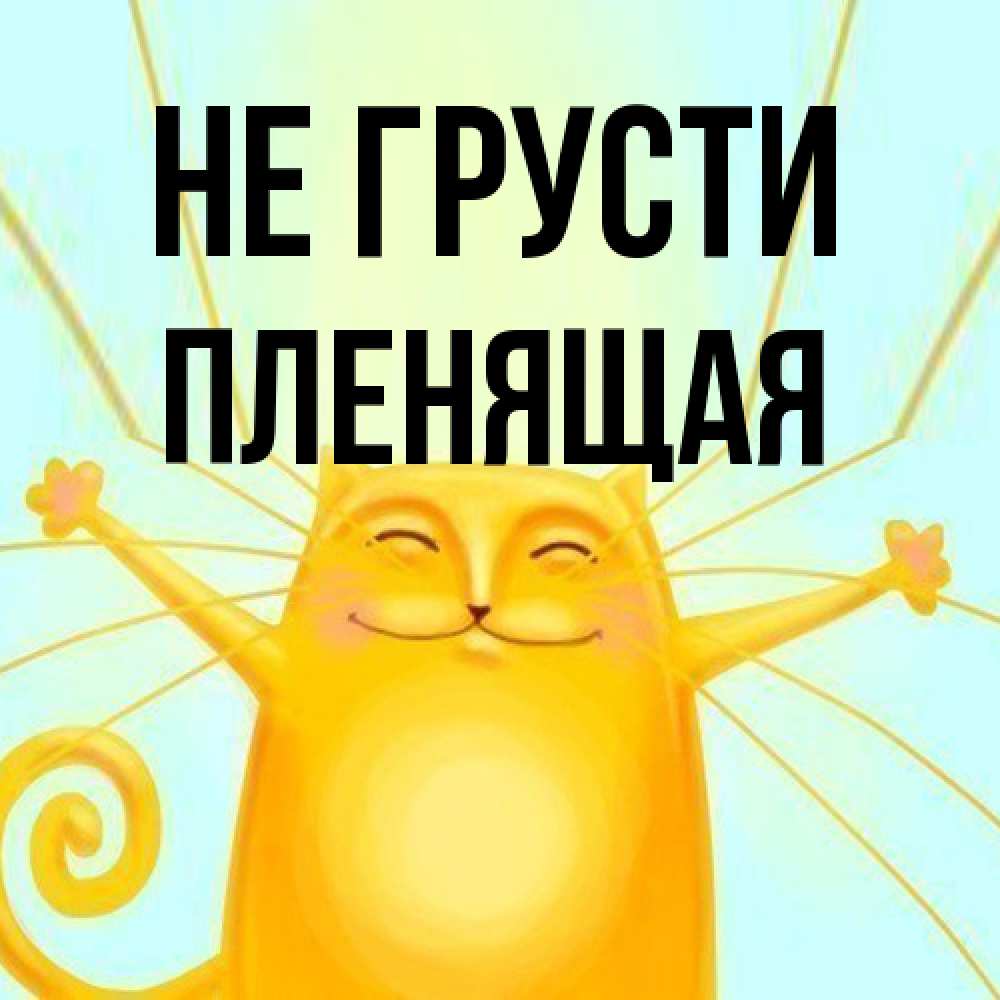 Открытка на каждый день с именем, пленящая Не грусти обнимашки усатые Прикольная открытка с пожеланием онлайн скачать бесплатно 