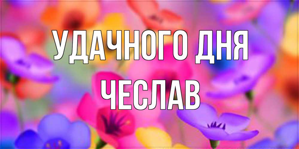 Открытка на каждый день с именем, Чеслав Удачного дня открытка повышающая настроение Прикольная открытка с пожеланием онлайн скачать бесплатно 