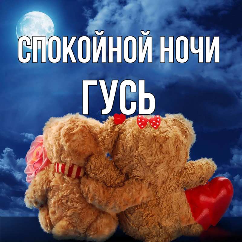 Картинка Спокойной ночи, Гусь