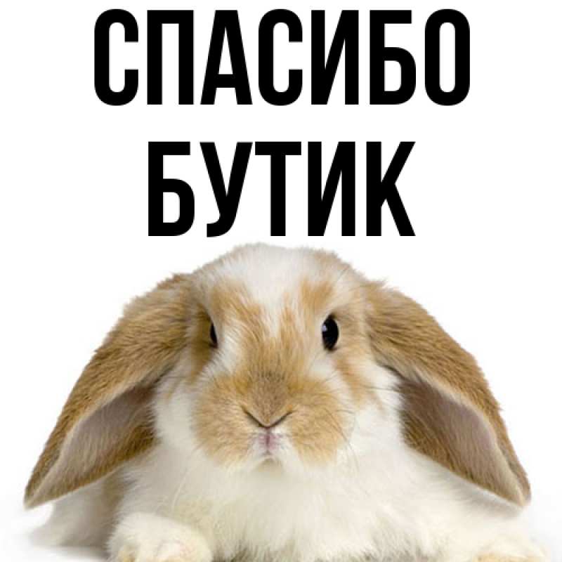 Картинка Спасибо, Бутик