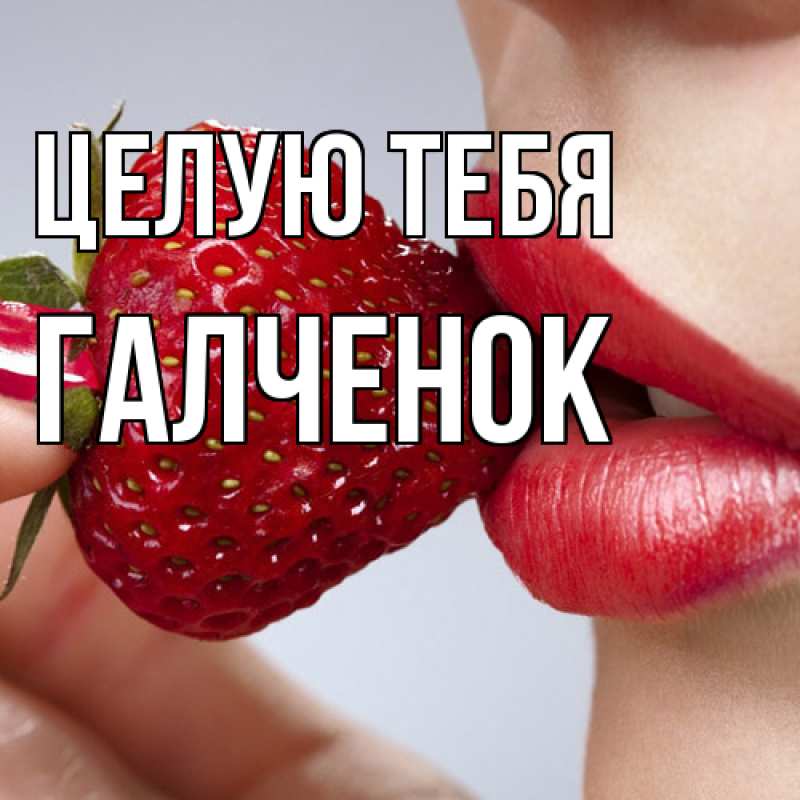 Картинка Целую тебя, Галченок
