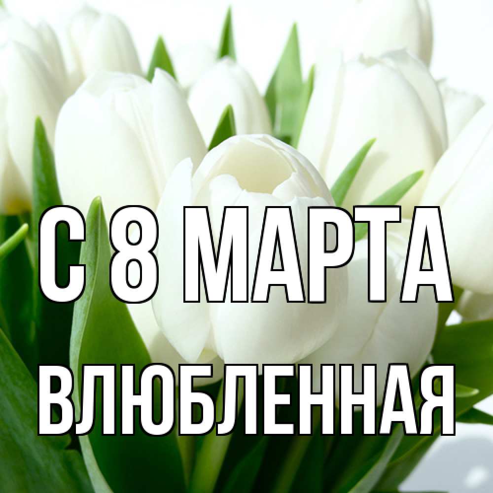 Открытка на каждый день с именем, Влюбленная C 8 МАРТА цветы Прикольная открытка с пожеланием онлайн скачать бесплатно 