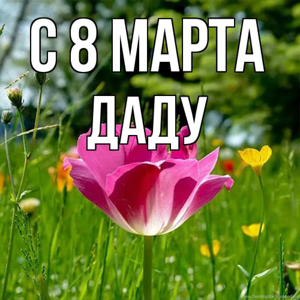 Открытка на каждый день с именем, Даду C 8 МАРТА полевые цветы Прикольная открытка с пожеланием онлайн скачать бесплатно 