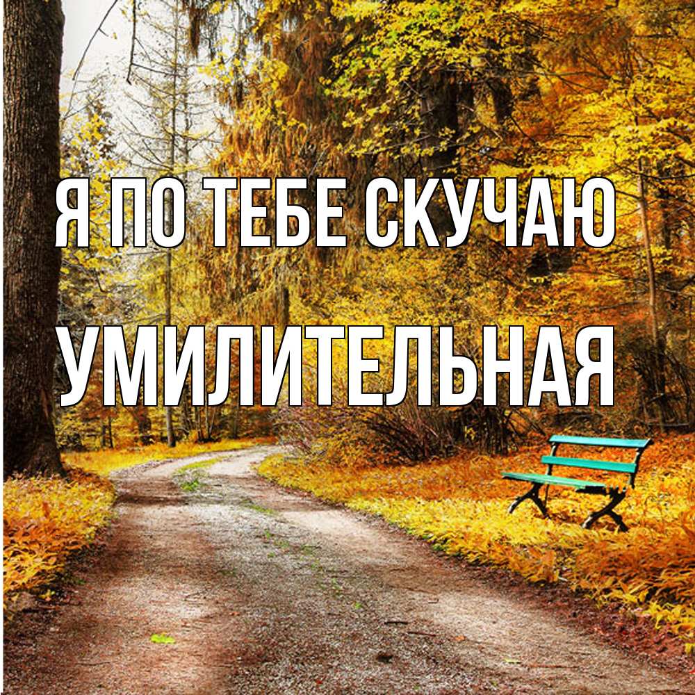 Открытка на каждый день с именем, умилительная Я по тебе скучаю зеленая лавочка и осенний лес Прикольная открытка с пожеланием онлайн скачать бесплатно 