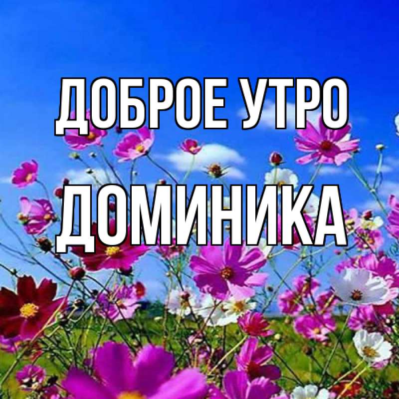 Картинка Доброе утро, Доминика