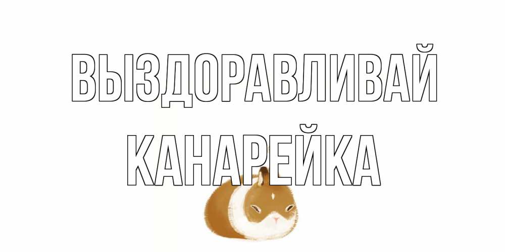 Открытка на каждый день с именем, Канарейка Выздоравливай морская свинка на открытке с пожеланиями не болеть Прикольная открытка с пожеланием онлайн скачать бесплатно 
