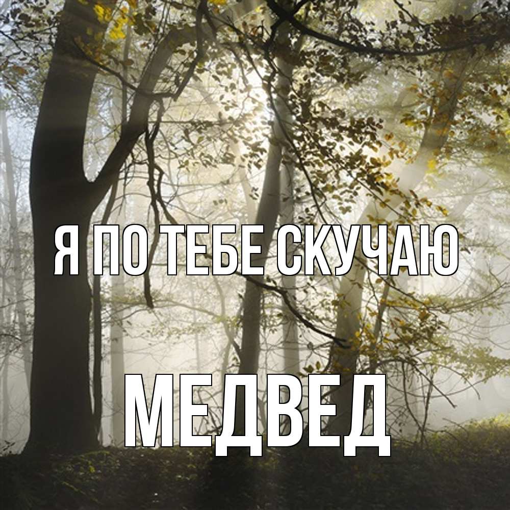 Открытка на каждый день с именем, Медвед Я по тебе скучаю грустно Прикольная открытка с пожеланием онлайн скачать бесплатно 